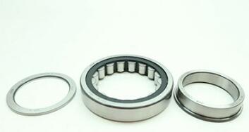 FAG NUP220-E-XL-TVP2 Bearing